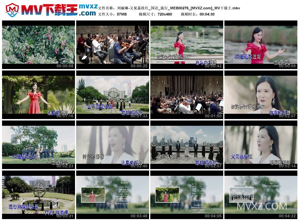 刘丽琳-又见荔枝红_国语_流行_MEB00276